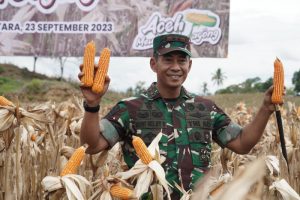 Situasi Elnino, Program I’M Jagong yang diprakarsai Pangdam IM Sukses Panen Perdana