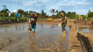 Pertama Kali Dikabupaten Mappi, Satgas Yonif 125/SMB Pelopori Buka Lahan Persawahan Bersama Dinas Pertanian