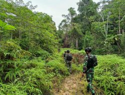 Terus Persempit Ruang Gerak Kelompok Separatis Bersenjata, Satgas Yonif 623/BWU Masuk Keluar Hutan Jalankan Patroli Keamanan
