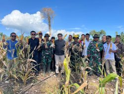 Manunggal Petani Bersama TNI Tingkatkan Produktivitas KPN Talaga