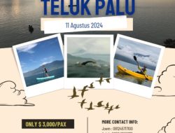 Explore Teluk Palu 2024, PSC Gagas Renang Lintas Teluk Palu ke-5