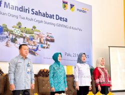Luncurkan Program Mandiri Sahabat Desa, Sry Nirwanti Bahasoan Dorong Sinergi Tekan Stunting Hingga Pelosok