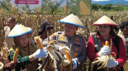 Wagub Hadiri Panen Raya Jagung di Desa Labuan Panimba