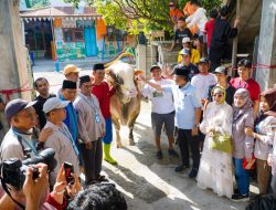 Gubernur Sulteng Salurkan Bantuan Sapi Kurban dari Presiden kepada Warga Talise
