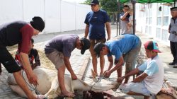 Kejati Sulteng Sembelih 13 Ekor Sapi, 364 Paket Daging Qurban Dibagikan ke Masyarakat Sekitar dan Lembaga Sosial Keagamaan