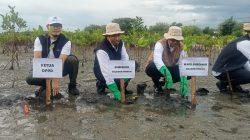 Menjadikan Tanaman Mangrove Sebagai Benteng Alam Dari Bahaya Abrasi Di Teluk Palu
